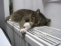 Власти Калининграда отказались быстро включать отопление в домах