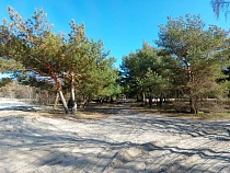 МегаФон покрыл сетью дачи под Балтийском