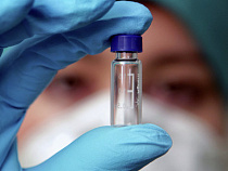 Это еще цветочки: Россия с 10 августа ограничит ввоз цветов из Голландии