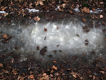 Калининградка, упавшая на скользком тротуаре, отсудила у ЖЭКа 15 тысяч рублей