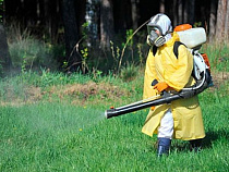 В Калининградской области уже обработано от клещей более 40% запланированного объема территорий