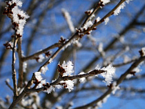 До конца недели в регионе будет отрицательная температура воздуха