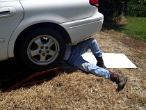 ООО «РусАвто» уличили в плохом ремонте «Соляриса»