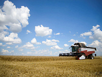 «Калининградская мясная компания» планирует сев озимых культур под урожай 2020 года на площади 5 000 гектаров