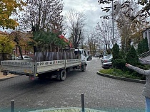 Вашингтонию эвакуировали из Зеленоградска