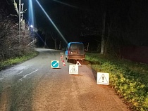 В Багратионовском районе пьяный на «Рено» сбил сразу двух пешеходов