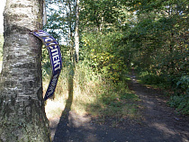 Власти Калининграда разрешили вырубку деревьев вокруг свалки в Косме