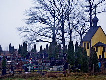 45 % смертей в Калининградской области произошло из-за болезней кровообращения 