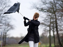 Штормовое предупреждение настигло Калининградскую область