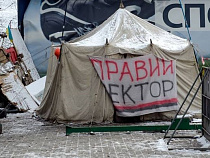 "Правый сектор" у власти в Украине долго не продержится