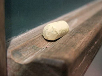 Региональное правительство планирует потратить 15 млн рублей на оплату покупки жилья 50 педагогов