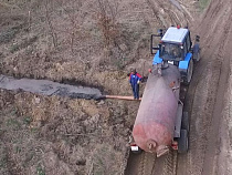 Администрация Зеленоградска поймала фермеров на сливе свиного навоза (дополнено)