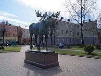 СК: две жительницы Гусева убили своих сожителей с разницей в месяц