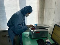 В Калининградской области нашли 54 случая коронавируса за одни сутки