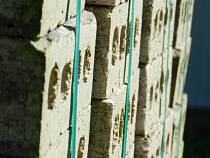 В Калининграде могут построить белорусский квартал