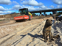 Мининфраструктуры предлагает добавить ок. 50 млн на содержание управления дорожного хозяйства