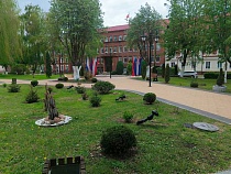 В Гусеве сверхразум стащил с улицы прокатные электросамокаты