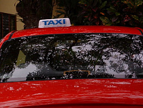 В Калининграде таксист пытался изнасиловать пассажирку