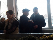 Юрий Лужков: русские комбайны на озёрской гречке не работают