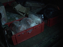 В Калининграде полиция устроила масштабный рейд по проверке мясоторговцев 