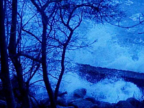 Шторм скрыл пляжи Калининградской области