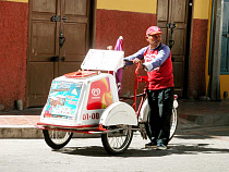 Житель Светлогорска украл 181 мороженое, чтобы раздать друзьям  