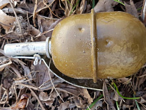 Жители улице Интернациональной нашли во дворе дома боевую гранату