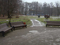 Общественники Зеленоградска выступили против колеса обозрения