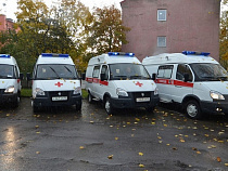 Парк санитарного автотранспорта Калининградской области пополнили 9 машин