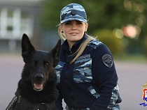 Овчарка вывела людей к заблудившемуся в лесу под Шепетовкой