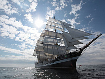 Навигацию 2015 года “Крузенштерн” начнет из Калининграда 24 февраля