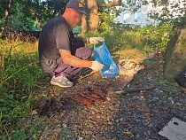 Мужик обжигал провода у министерства соцполитики в Калининграде