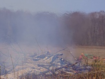 В Калининградской области пожарные тушили траву более 50 раз за сутки