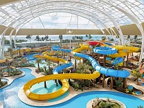 Область влезет в долги ради проекта Качановича с аквапарком в Сокольниках