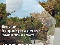 В Москве покажут "Второе рождение" янтаря