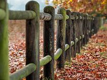 В Немане украли и продали столбы