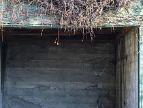 Прокуратура: незаконные гаражи на аэродроме «Дэвау» снесут