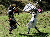 Калининградцев познакомят с музыкальными, ремесленными и рыцарскими традициями Средневековья