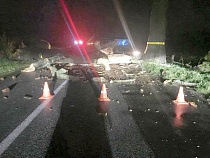 Под Пионерским 70-летний водитель врезался в упавшее дерево