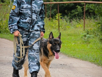 В Калининградском батальоне ППС недобор