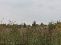 Под Зеленоградском у собственника изъяли 5,3 гектара земли 