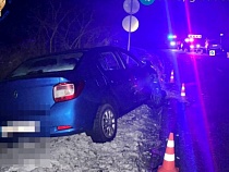 В «Ниссан» влетело пьяное чудовище по дороге на Балтийск   