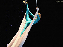 Гимнастка московского цирка Анастасия Тимочкова: "Я работаю без страховки. Всегда!"