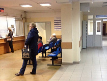 За неделю от клещей пострадали более 140 калининградцев