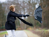 Калининград готовится к шторму