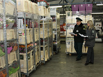 С начала года в область ввезли 1,6 млн штук цветов