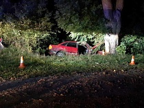На дороге со Стрельни пьяный на «Ауди» врезался в дерево