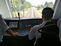 После выхода коров на рельсы поезда чудом избежали столкновения 