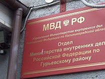 Под Калининградом местный житель попытался продать газовый пистолет