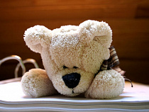 За кражу плюшевого медведя 19-летнему калининградцу грозит до 4 лет тюрьмы